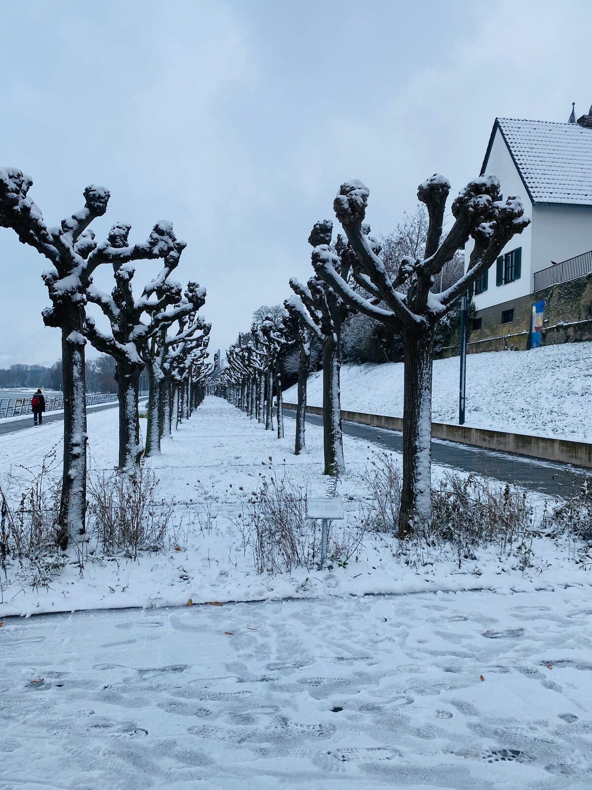 Nido Vela — Foto 9