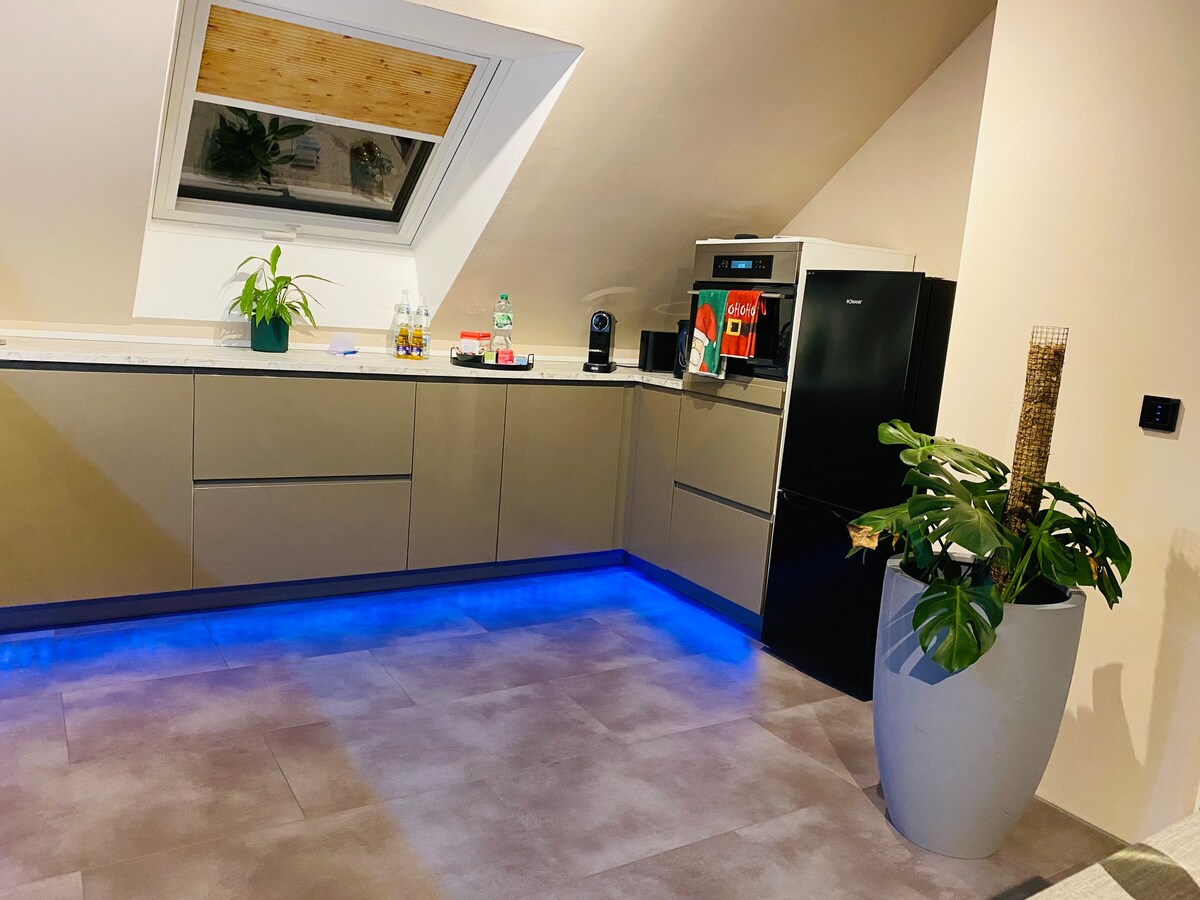 Nido Vela — Foto 11