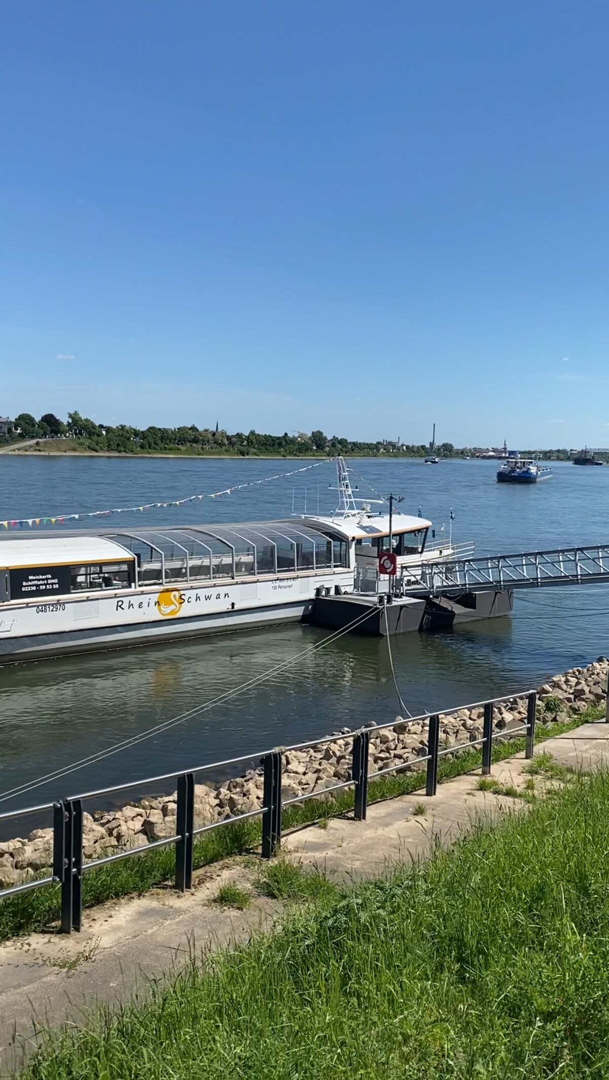 Nido Vela — Foto 23