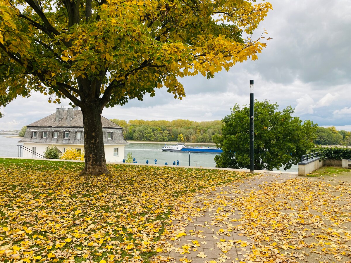 Nido Vela — Foto 27