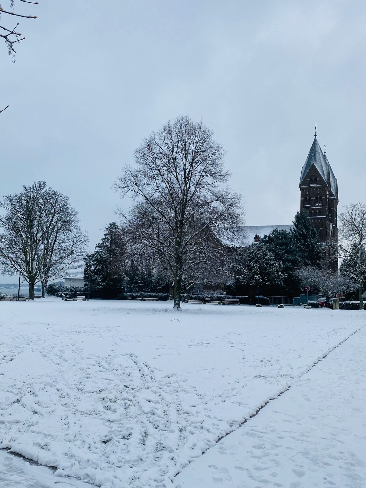 Nido Vela — Foto 36